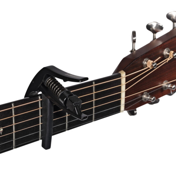 D'ADDARIO PW-CP-10 ARTIST CAPO - immagine 4