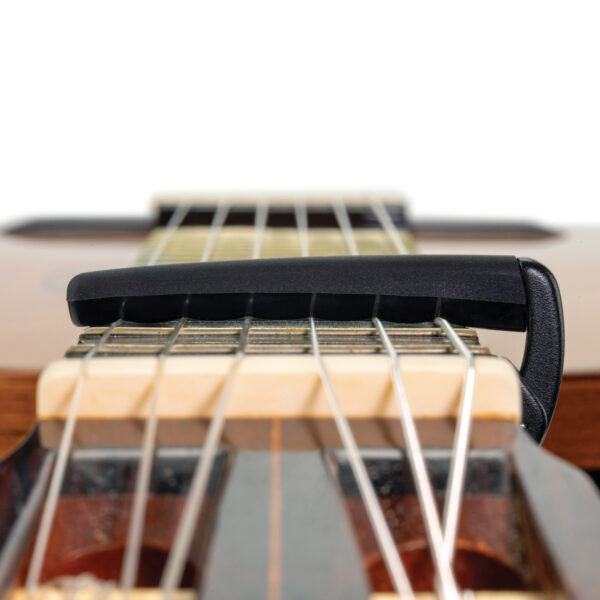 D'ADDARIO PW-CP-19 CAPOTASTO - immagine 7