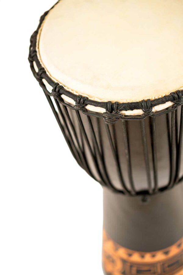 MEINL HDJ1-L12 Djembe 12" - immagine 3