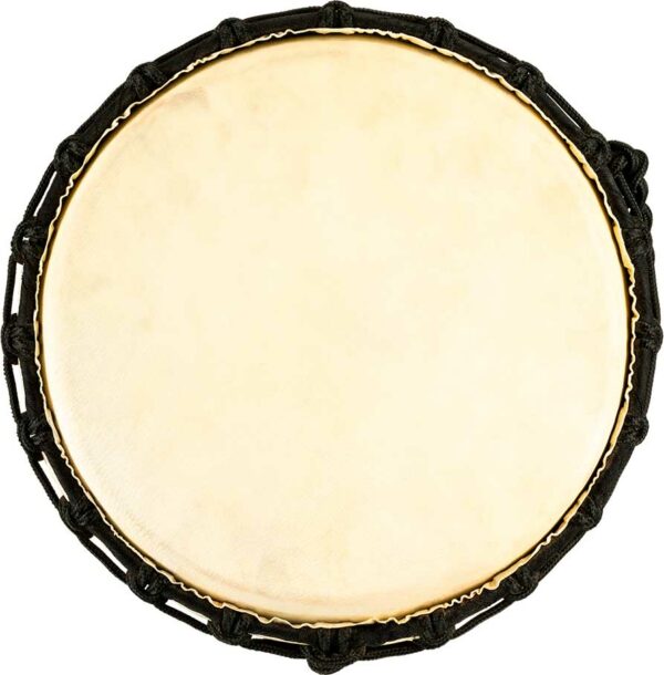 MEINL HDJ1-L12 Djembe 12" - immagine 4