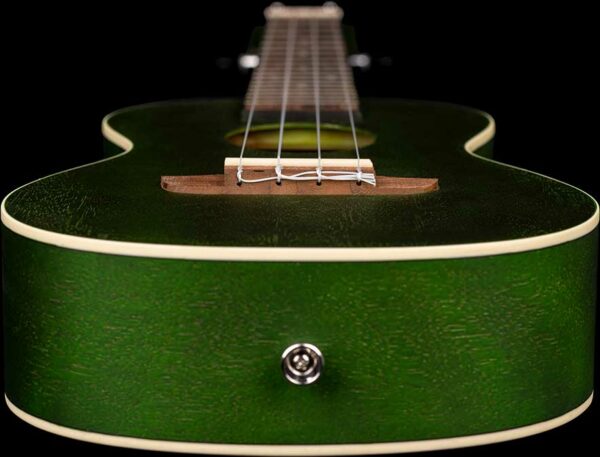 ORTEGA RUFOREST UKULELE - immagine 7