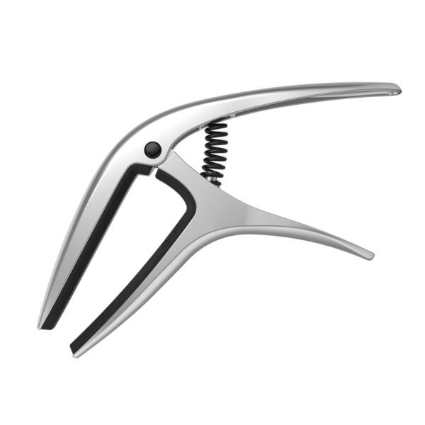 AXIS CAPO SILVER